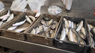 WhatsApp Image 2025-11-14 at 09.23.41 (2).jpeg